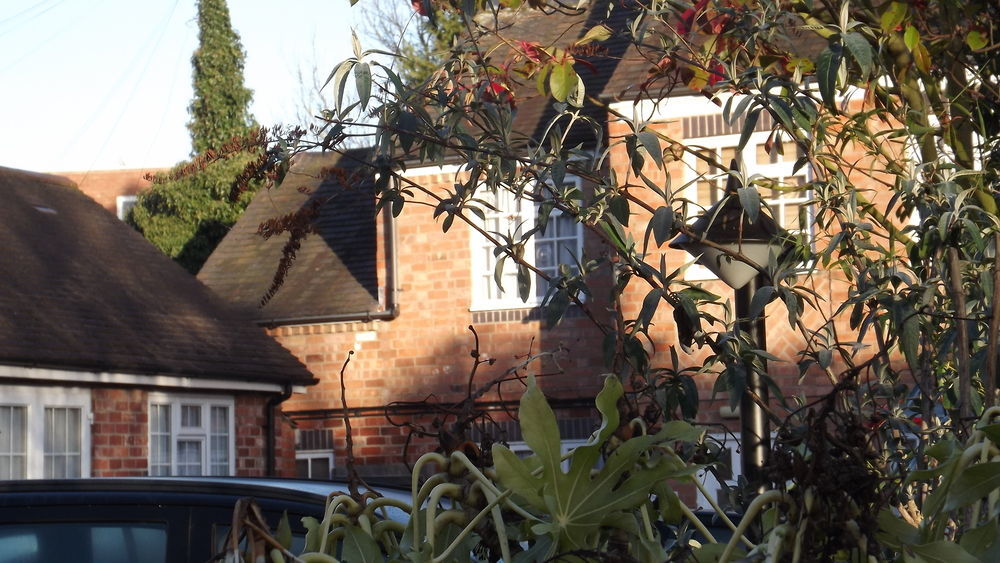 The Peacock Townhouse Hotel Kenilworth - Warwick Kültér fotó